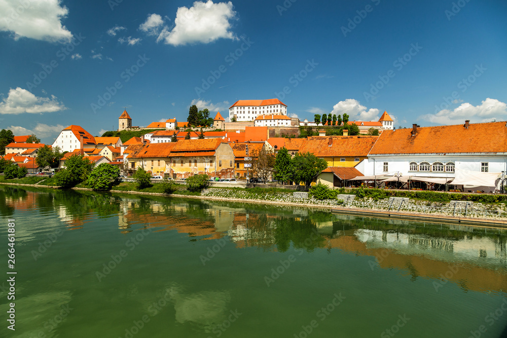 View on the town Ptuj from the river, Slovenia