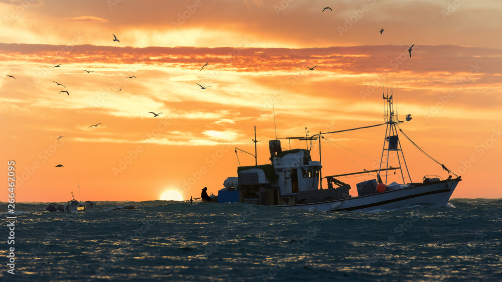 A fishing vessel tows a fishing boat. Many sea gulls fly in the air and the sun rises in the background.