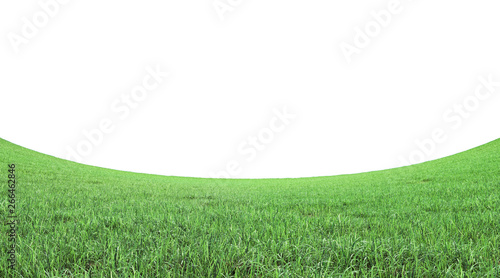 green grass field on white background 3D rendering