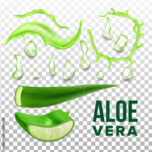 Elements Of Eco Healthcare Aloe Vera Set Vector. Collection Details Of Herbal Healthcare Plant For Cosmetic Product. Vitamin Gel For Skin On Transparency Grid Background. Realistic Illustration