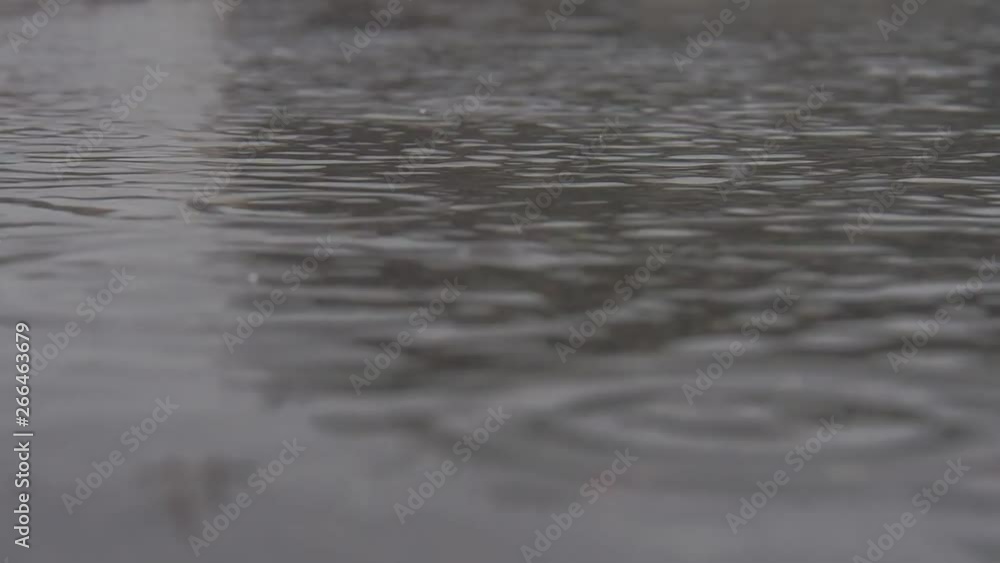 雨 水たまり 雨 水たまり