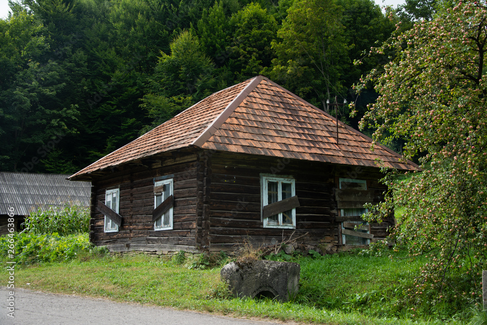 Wooden house in the village on the background of trees. Wooden house in the village on the background of trees.