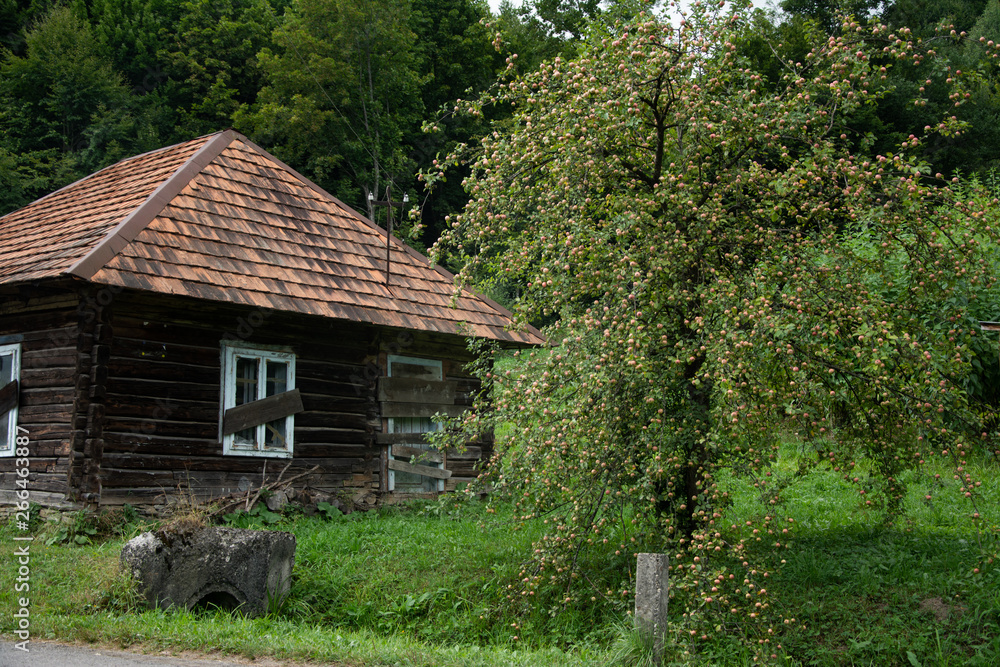 Wooden house in the village on the background of trees. Wooden house in the village on the background of trees.