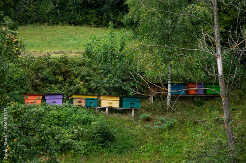 Multicolored wooden bee hives in the garden.