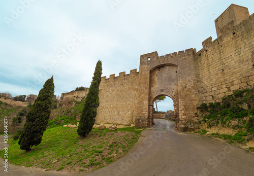 Tarquinia (Italy) - A gorgeous etruscan and medieval town in province of Viterbo, Tuscia, Lazio region. It's a tourist attraction for the many churches and the lovely historic center.