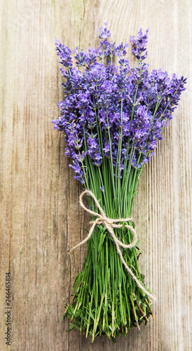 fresh lavender flowers