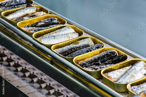 Canvas Print Tin cans with fish on the conveyor.