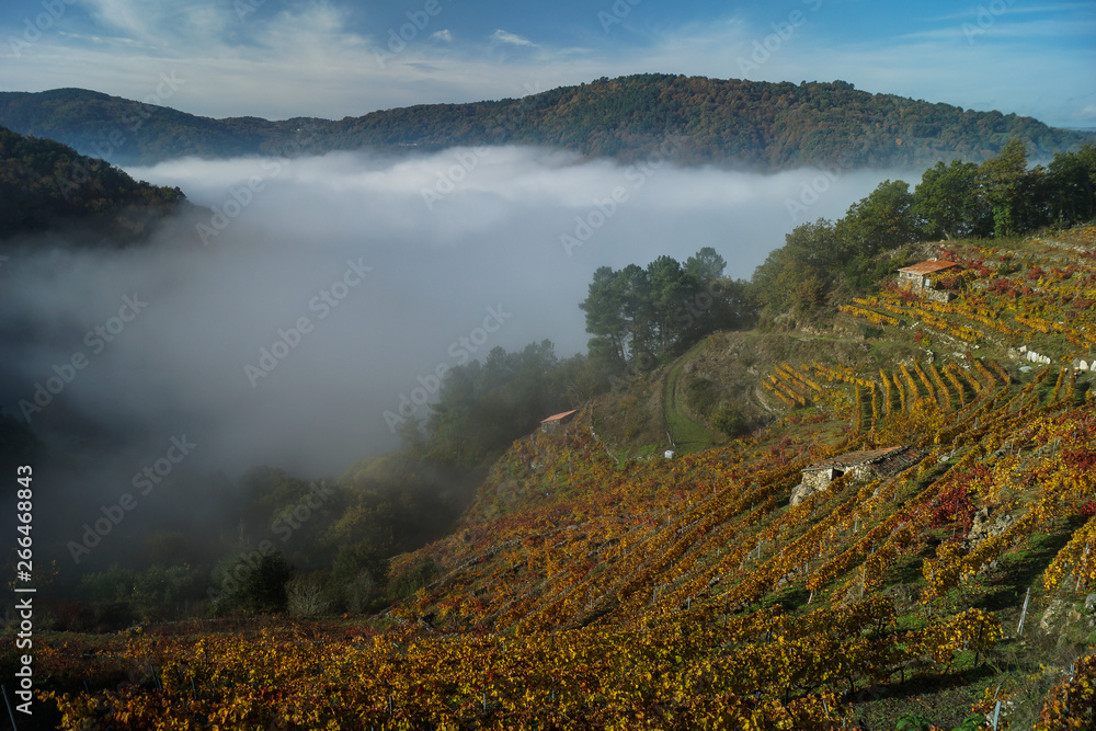 morning in the mountains