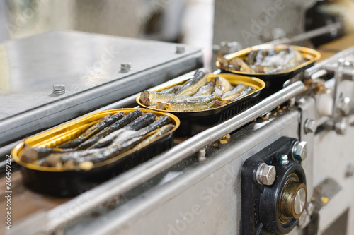 Canvas Print Tin cans with fish on the conveyor.
