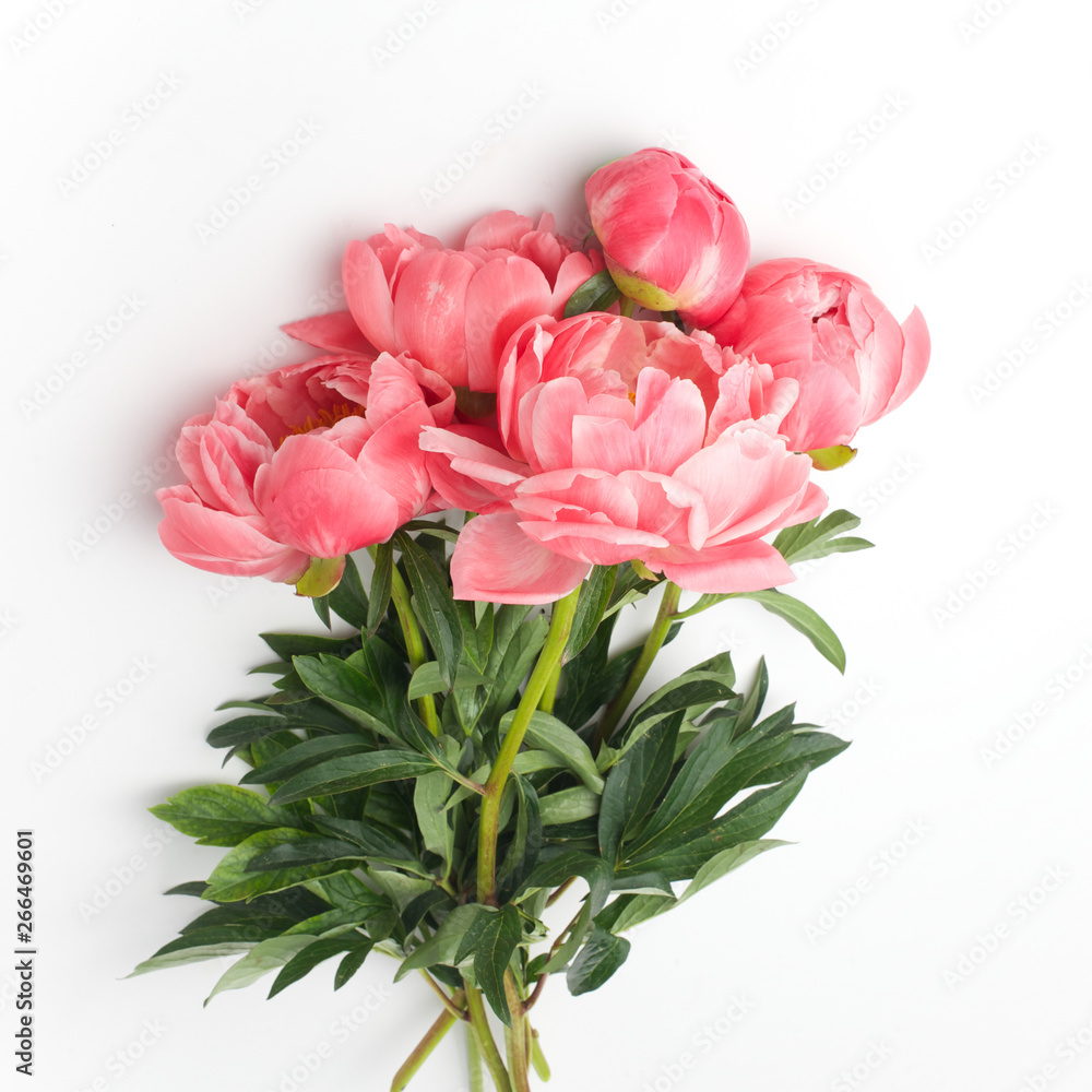 bouquet of fresh peonies on a white background in the center of the frame. flat lay, top view bouquet of fresh peonies on a white background in the center of the frame. flat lay, top view