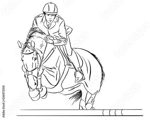 The rider and the horse participate in competitions in show jumping.