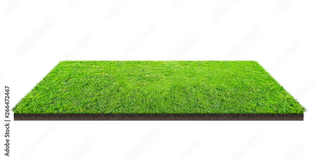 Naklejka Green grass field isolated on white with clipping path. Sports field. Summer team games..