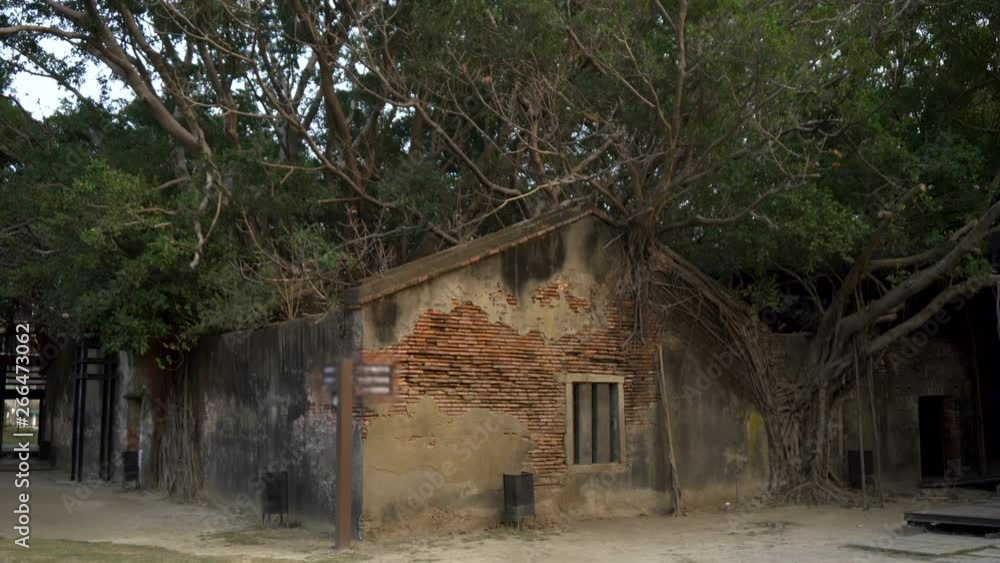 Abandoned Brick House Overgrown With Trees - Anping Tree House in Tainan, Taiwan - December 2018 Abandoned Brick House Overgrown With Trees - Anping Tree House in Tainan, Taiwan - December 2018