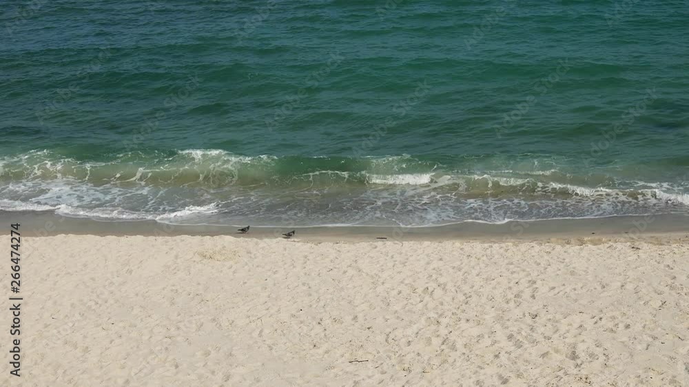 Waves on the sea coast Waves on the sea coast