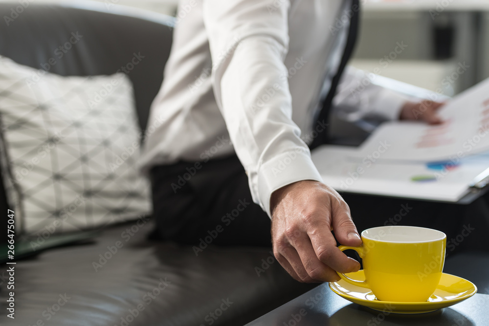 Fototapeta premium Businessman sitting on an office couch with paperwork