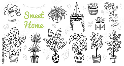 Cute indoor and outdoor plants in pots. Doodle black and white flowers, cactus, and succulents. Vector illustration. Natural design elements can be used for postcards, banners, websites or ads.