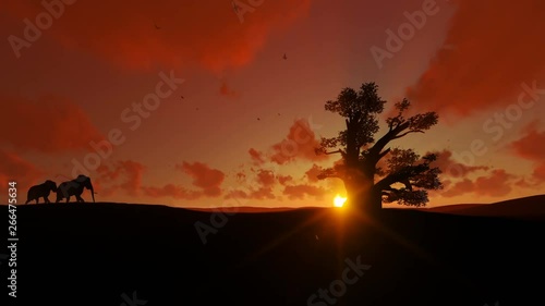 Wallpaper Mural African elephants walking towards a baobab tree agains beautiful sunset, 4K Torontodigital.ca