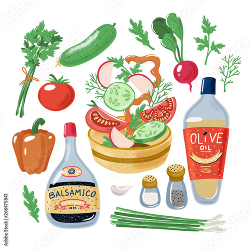 Salad recipe, tomato bell pepper radish cucumber falling in bowl surrounded by vegetables herbs olive oil balsamic vinegar salt and pepper, textured vector illustration isolated on white background