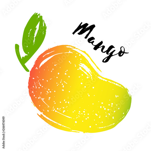 Vector mango tropical fruit illustration isolated on white background