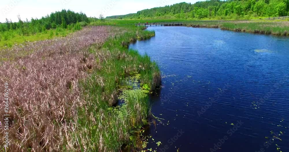 Marsh land from a drone shot moving forward Marsh land from a drone shot moving forward