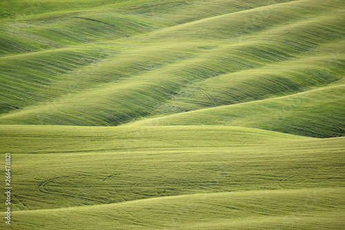 Rolling hills in Tuscany © Andreja Donko