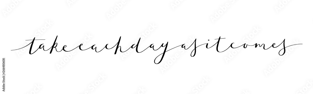 TAKE EACH DAY AS IT COMES brush calligraphy banner TAKE EACH DAY AS IT COMES brush calligraphy banner