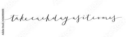 TAKE EACH DAY AS IT COMES brush calligraphy banner