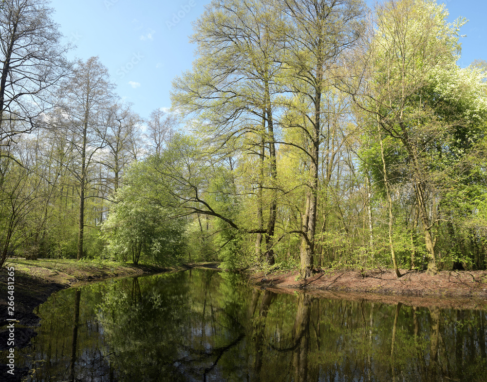 Obraz premium in der jungfernheide