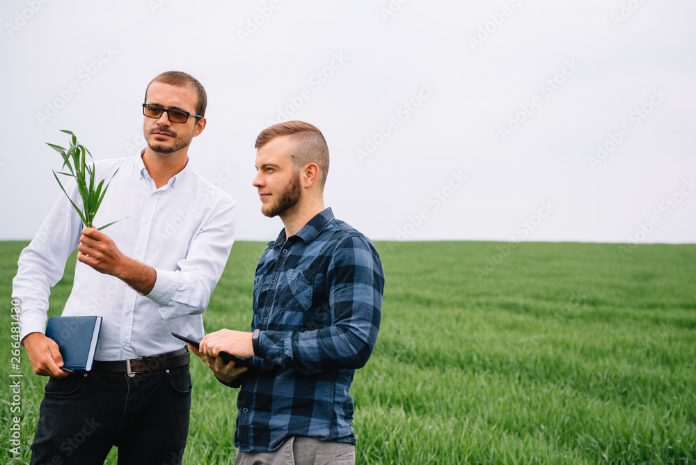 Fototapeta premium Two farmer standing in a green wheat field and shake hands.