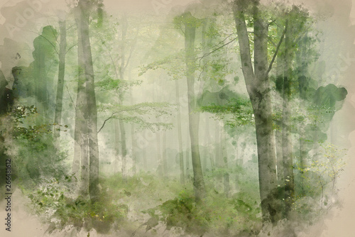 Watercolor painting of Lush green fairytale growth concept foggy forest landscape image