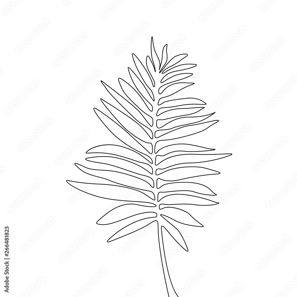 Continuous one line drawing areca palm leaf, exotic tropical plant