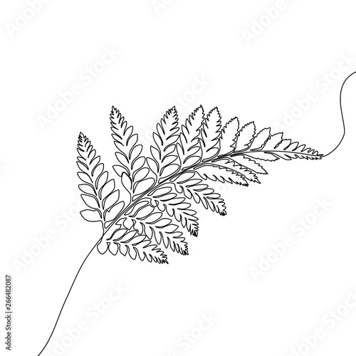 Continuous one line fern, exotic tropical plant