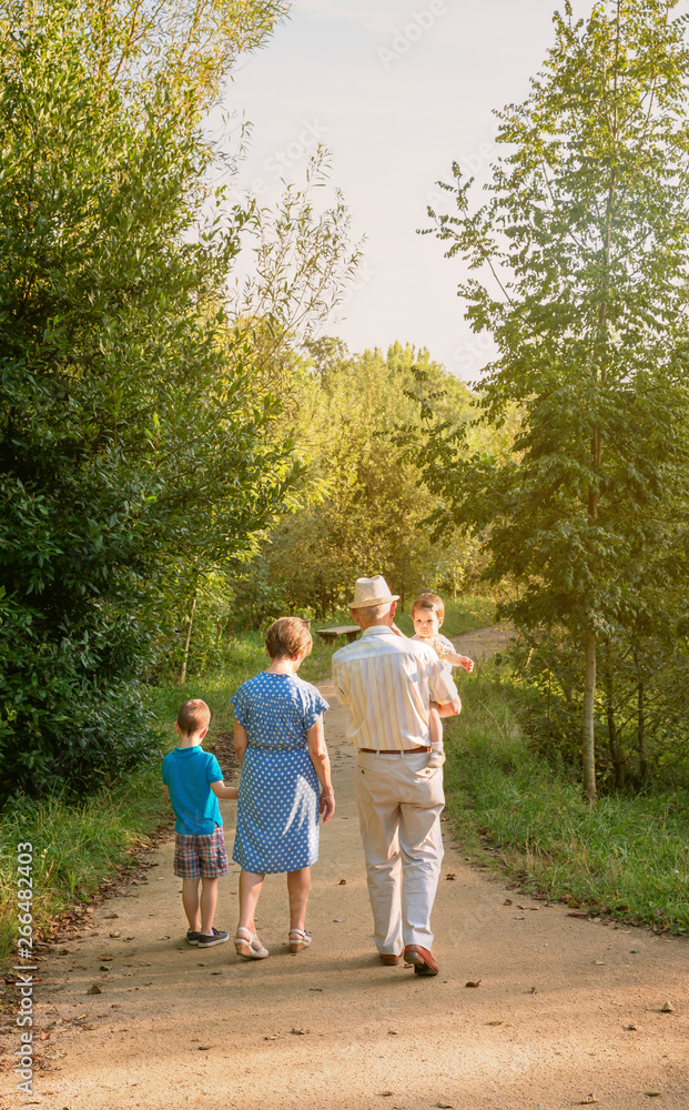 Back view of grandparents and grandchildren walking on a nature path Back view of grandparents and grandchildren walking on a nature path