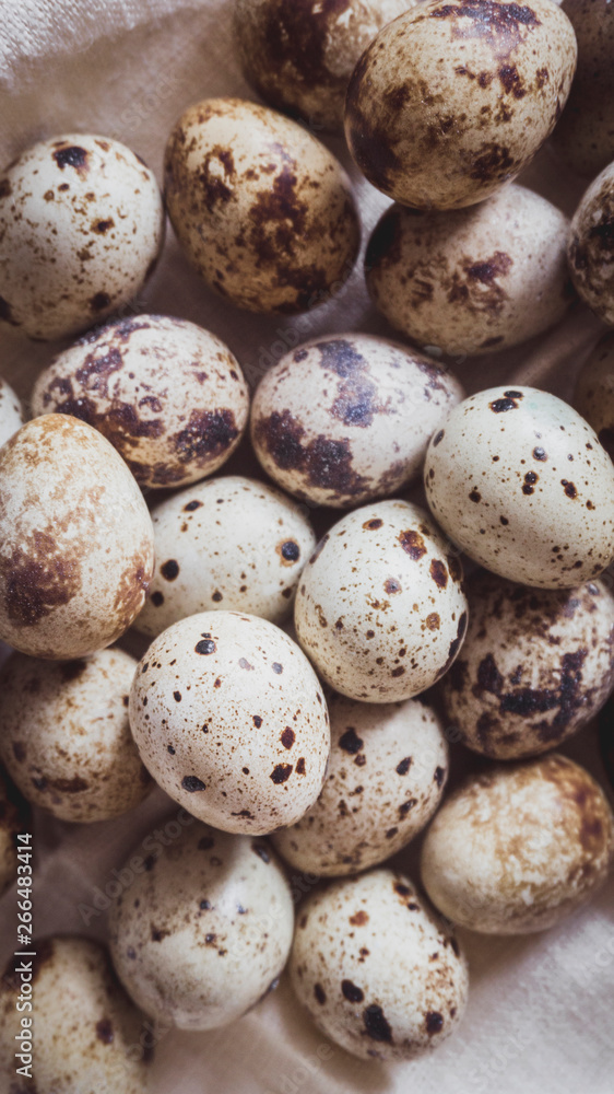 Obraz premium Quail eggs on the linen cloth. Top view