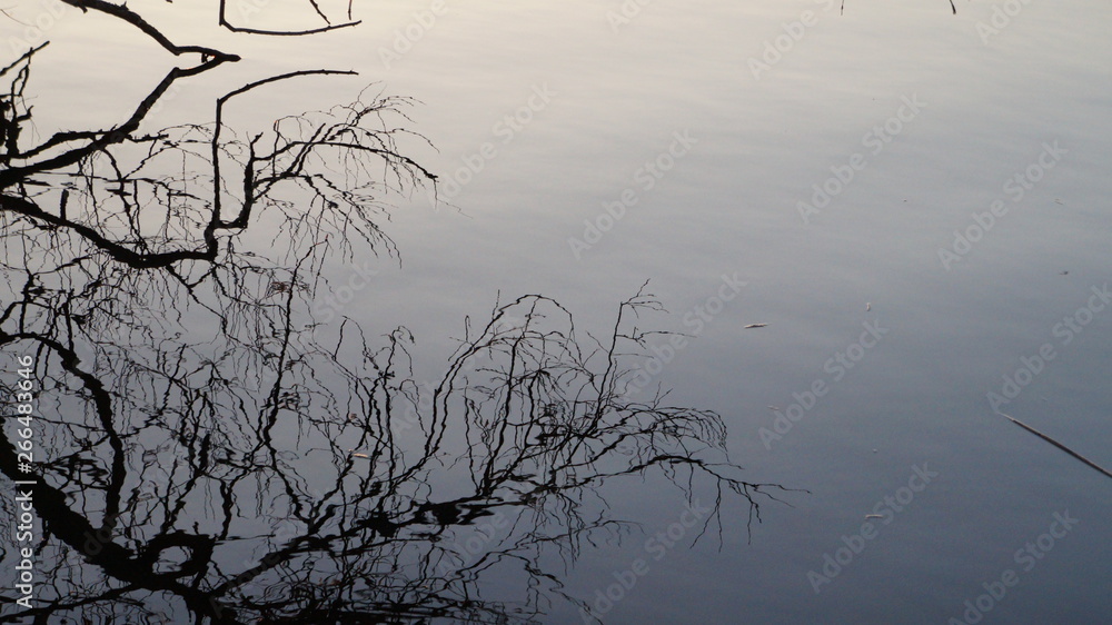 Fototapeta premium Water Reflection