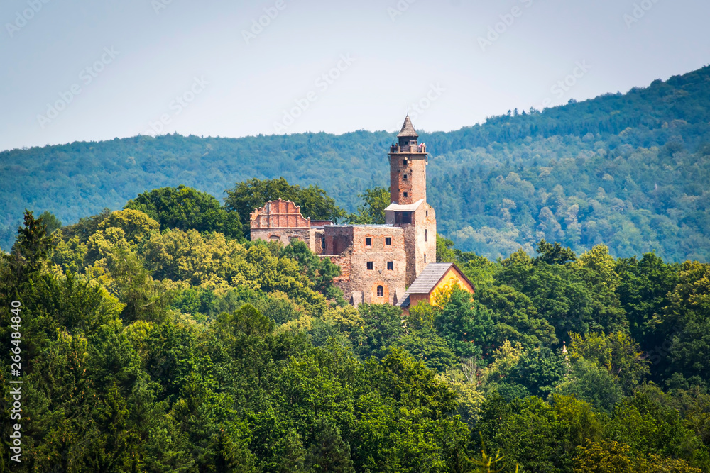Grodno Castle in Zagorze Slaskie