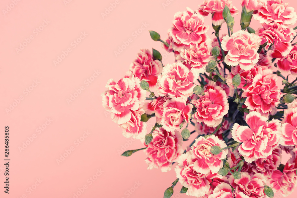 Bouquet of beautiful carnation flowers in pastel pink colors with copy-space.