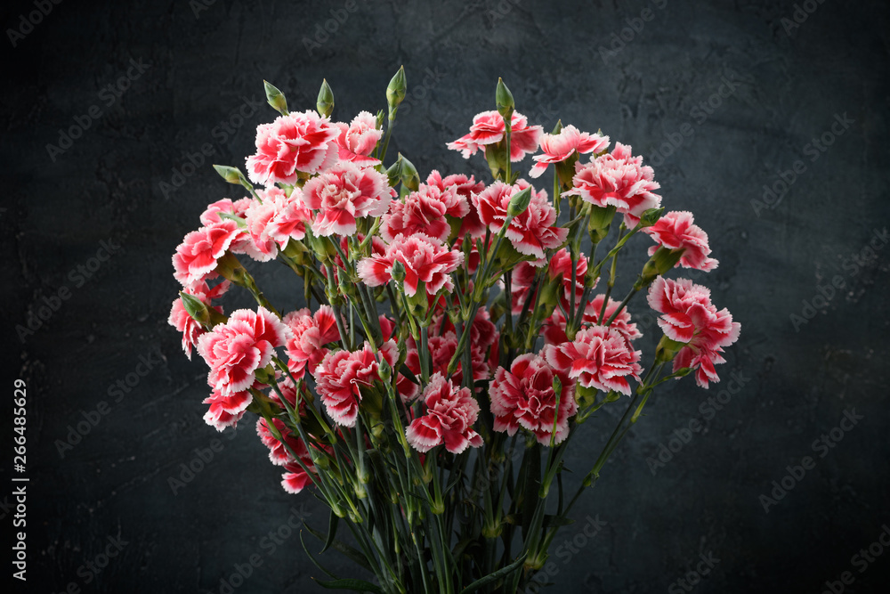 Carnation flowers bouquet over dark moody art background