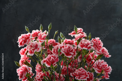 Carnation flowers bouquet over dark moody art background with copy space