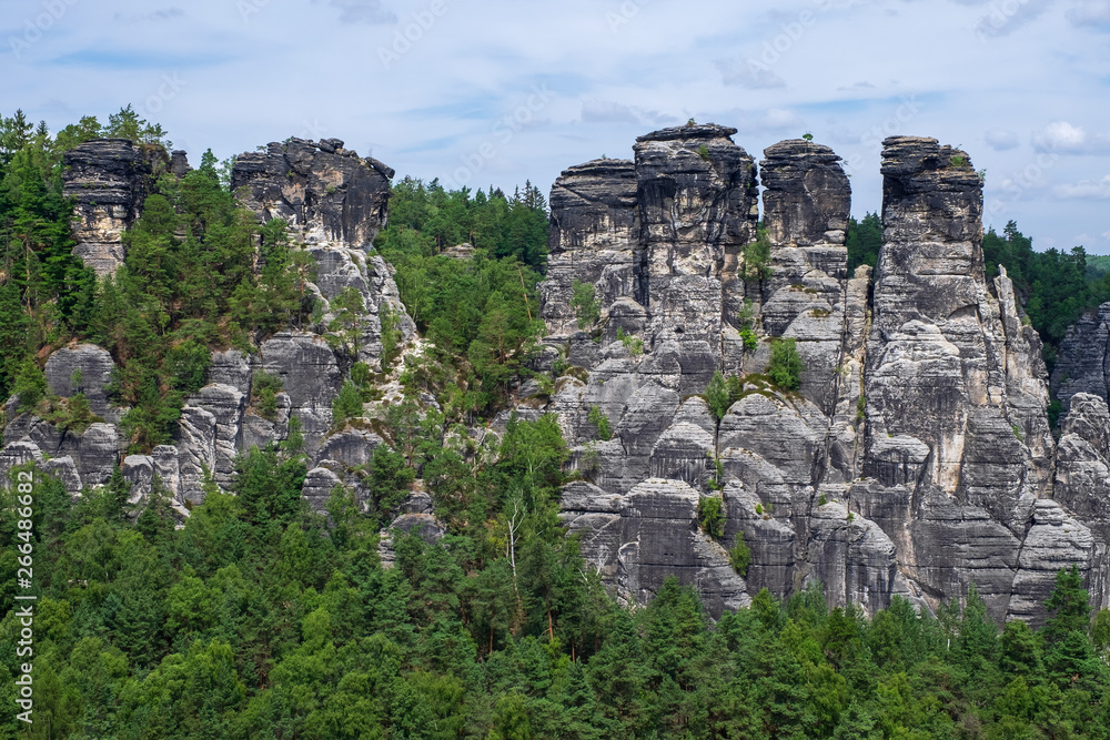 Felsformation im Basteigebirge in der sächsischen Schweiz