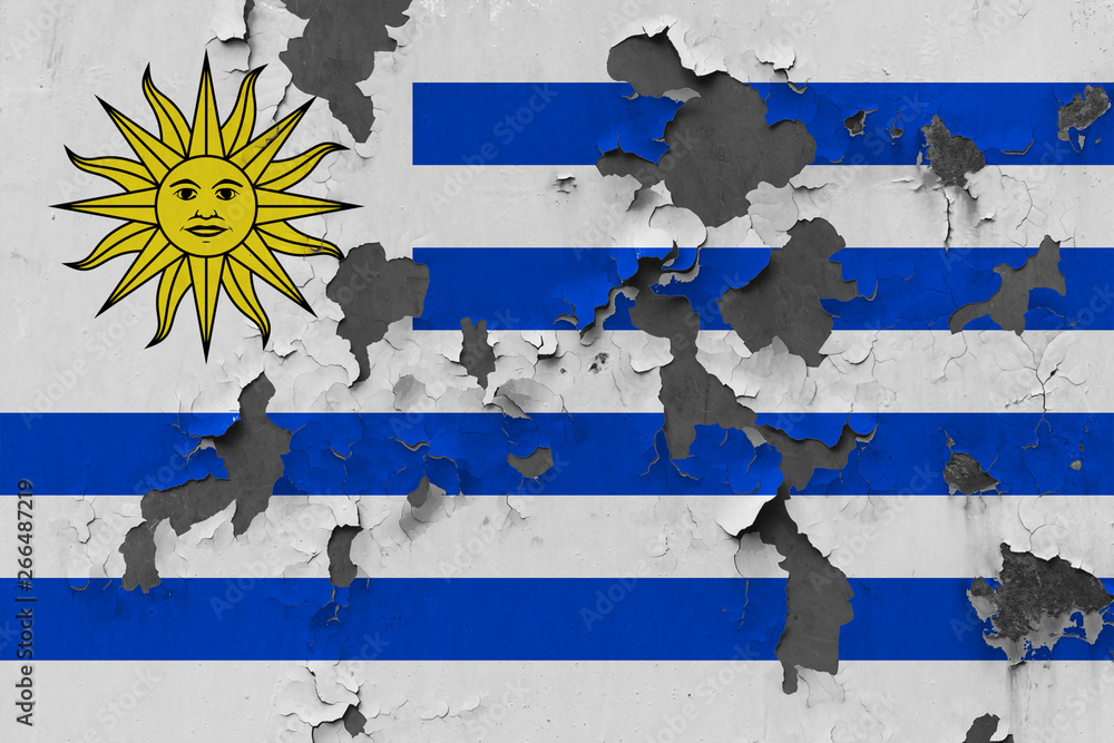 Fototapeta premium Close up grungy, damaged and weathered Uruguay flag on wall peeling off paint to see inside surface.