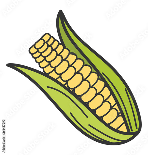 Corn cob icon in doodle vector