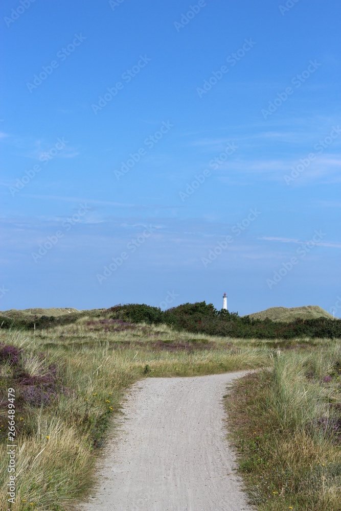 Obraz premium Danish landscape