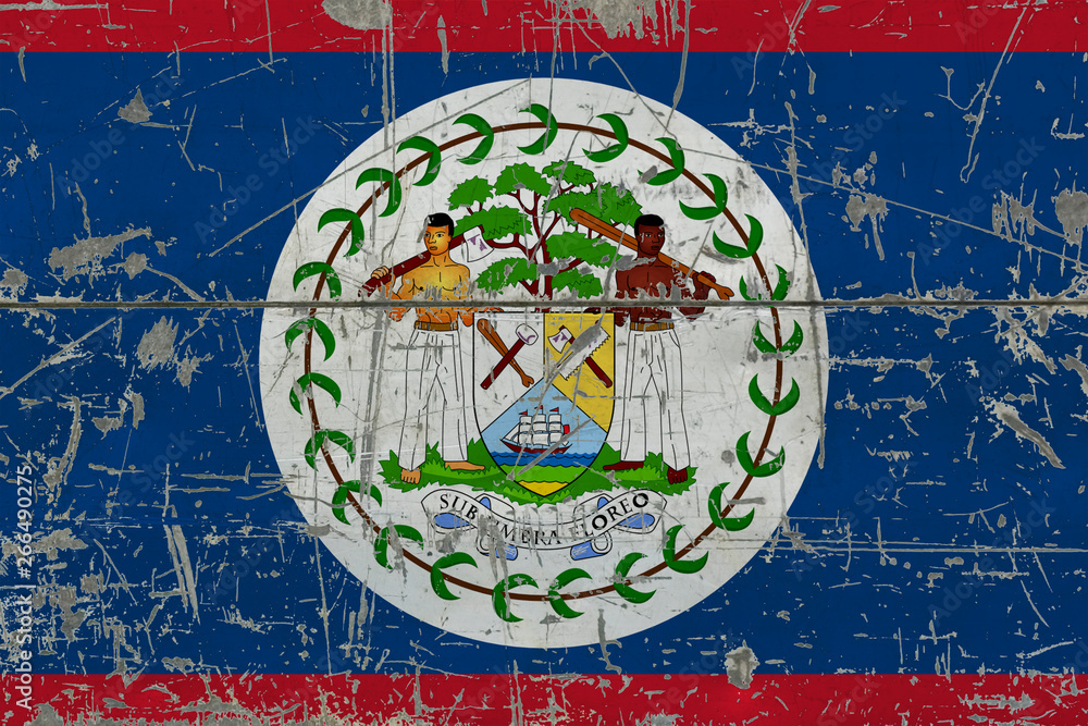 Obraz premium Grunge Belize flag on old scratched wooden surface. National vintage background.