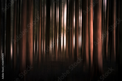 Abstract forest
