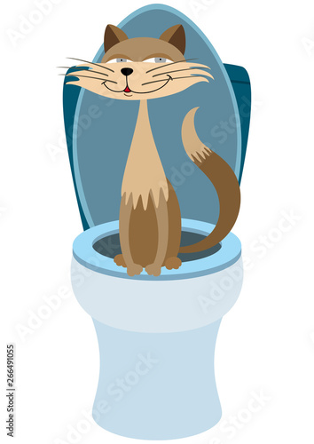 Cat on a toilet/ Illustration cartoon smiling cat trained to use a toilet