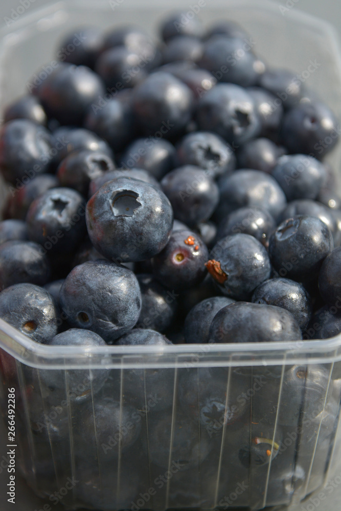 Blueberry in plastic transparent container box, isolated on grey background. Blueberry in plastic transparent container box, isolated on grey background.