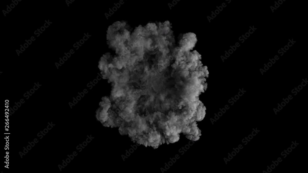 Shockwave Smoke Explosion 01 | Top Soft | 4K 32Bit with Alpha | Relighting & Details Shockwave Smoke Explosion 01 | Top Soft | 4K 32Bit with Alpha | Relighting & Details