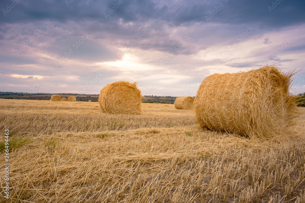 Hay bales under a cloudy sunset sky on a harvested wheat field.