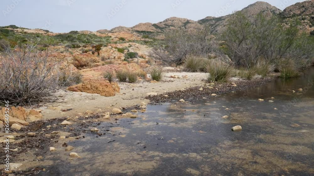wetland area with pond on sand dune with sparse vegetation of a European desert. Shrubs of Mediterranean scrub around a marsh. Desert des Agriates, Balagne region, Corsica, France wetland area with pond on sand dune with sparse vegetation of a European desert. Shrubs of Mediterranean scrub around a marsh. Desert des Agriates, Balagne region, Corsica, France